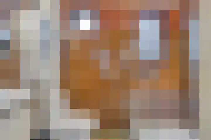 Stationsweg 110 Heerhugowaard thumbnail 26