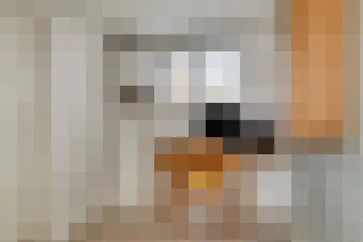Stationsweg 110 Heerhugowaard thumbnail 32