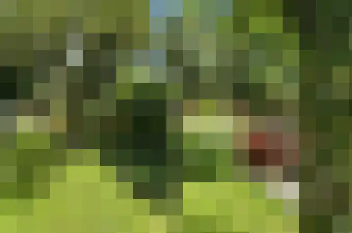 Stationsweg 110 Heerhugowaard thumbnail 46