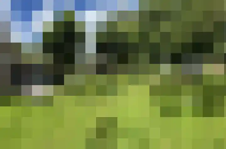 Stationsweg 110 Heerhugowaard thumbnail 47