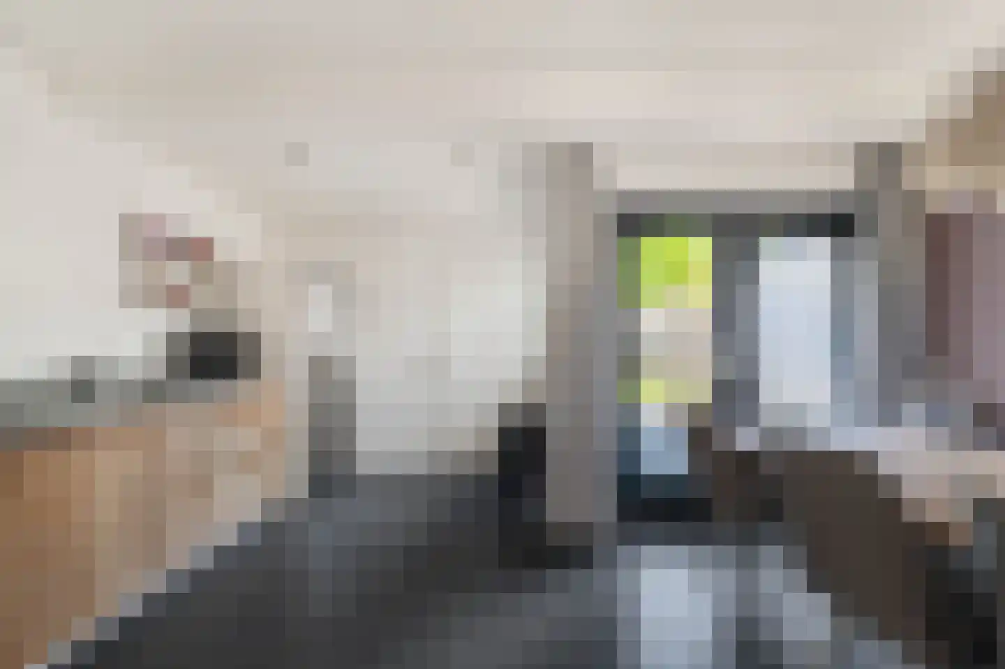 Stationsweg 111 Heiloo thumbnail 20
