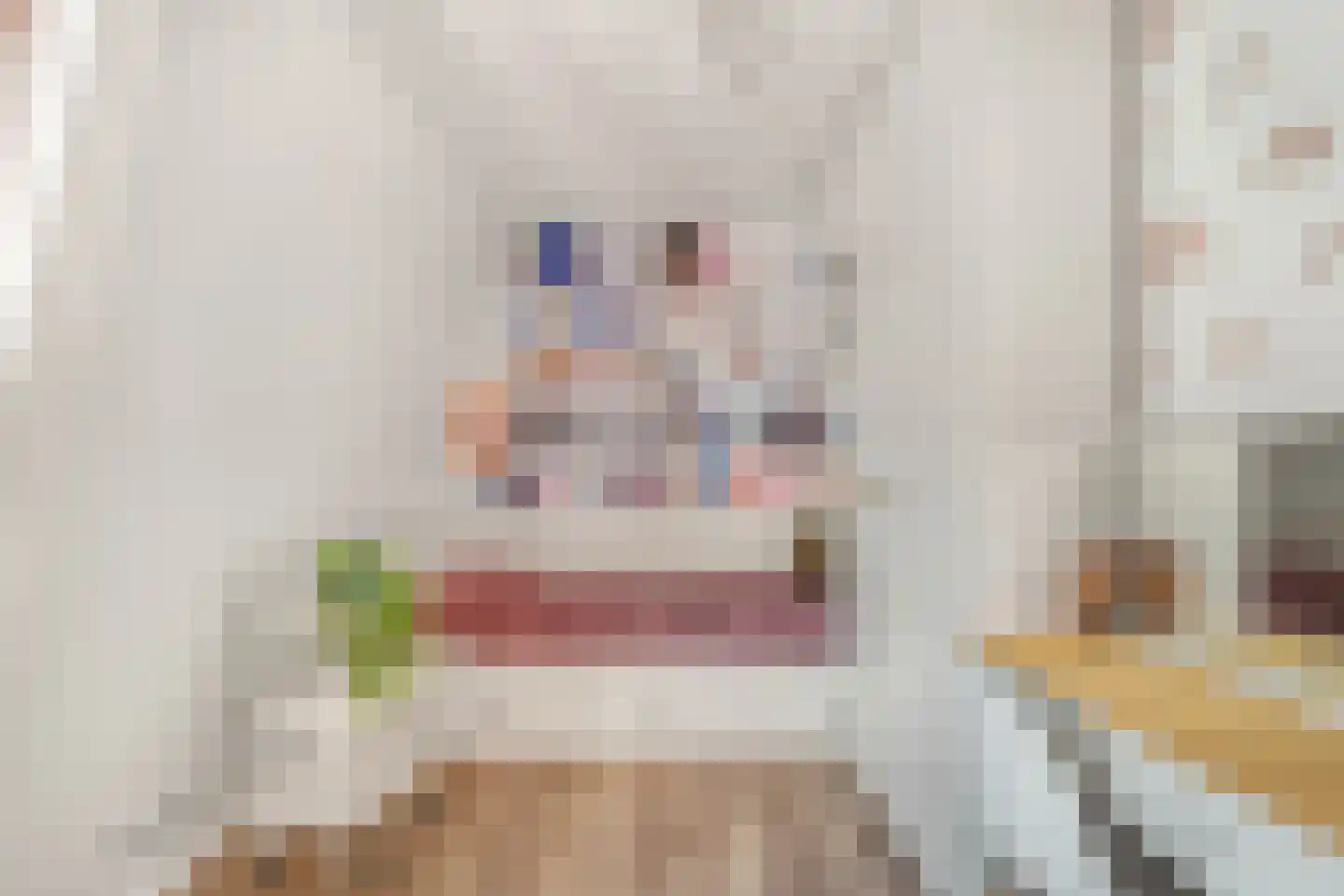 Stationsweg 111 Heiloo thumbnail 39