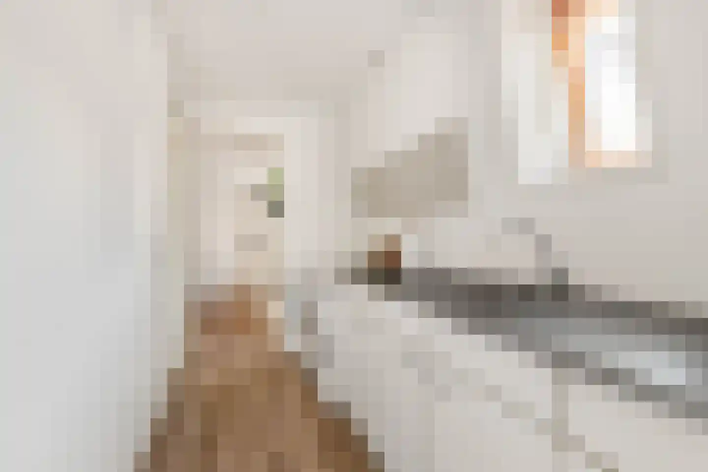 Stationsweg 111 Heiloo thumbnail 42