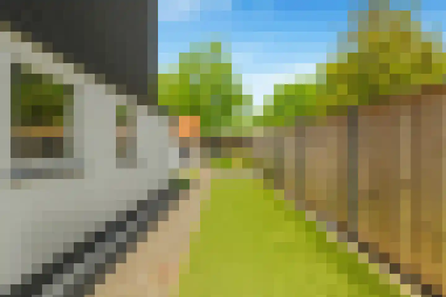 Stationsweg 111 Heiloo thumbnail 58
