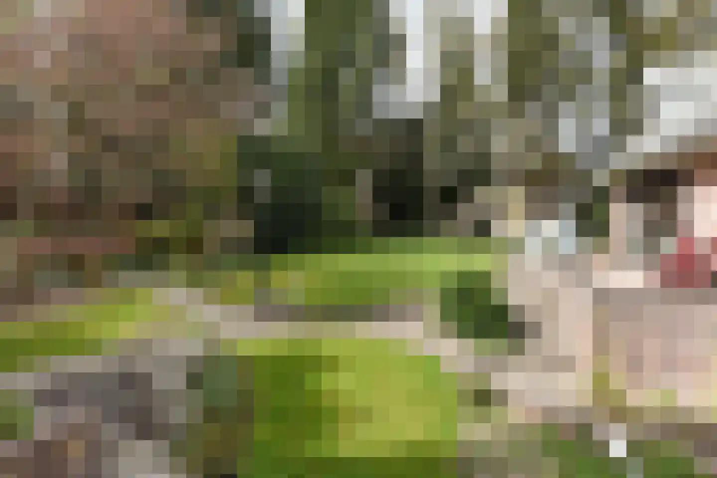 Stationsweg 114 Baarn thumbnail 43