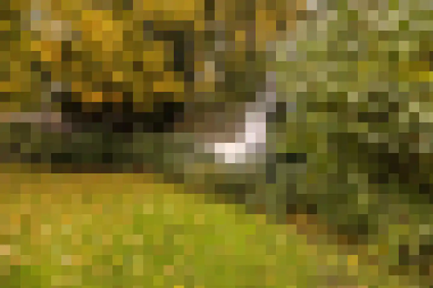 Stationsweg 114 Baarn thumbnail 46