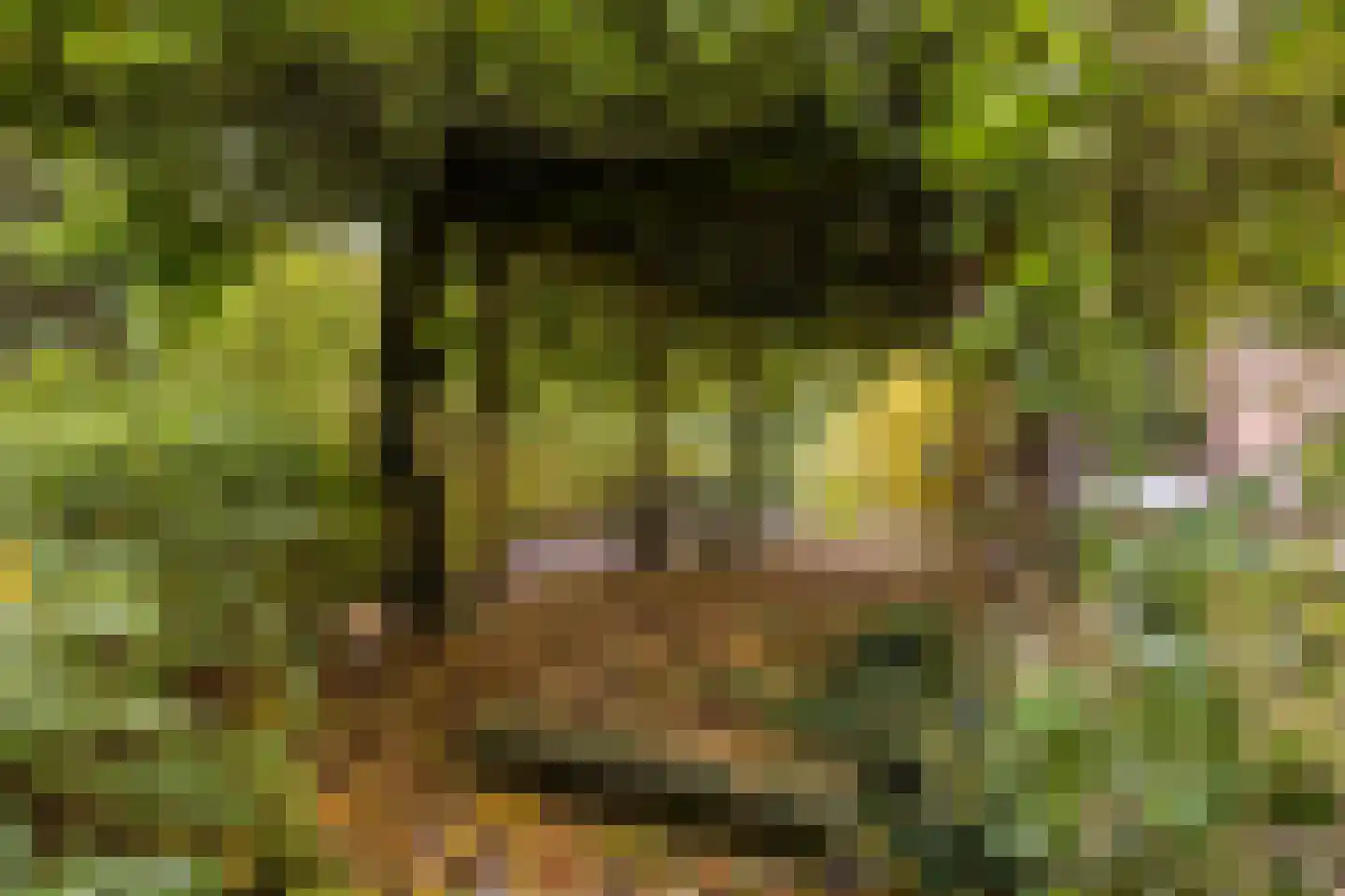 Stationsweg 114 Baarn thumbnail 47