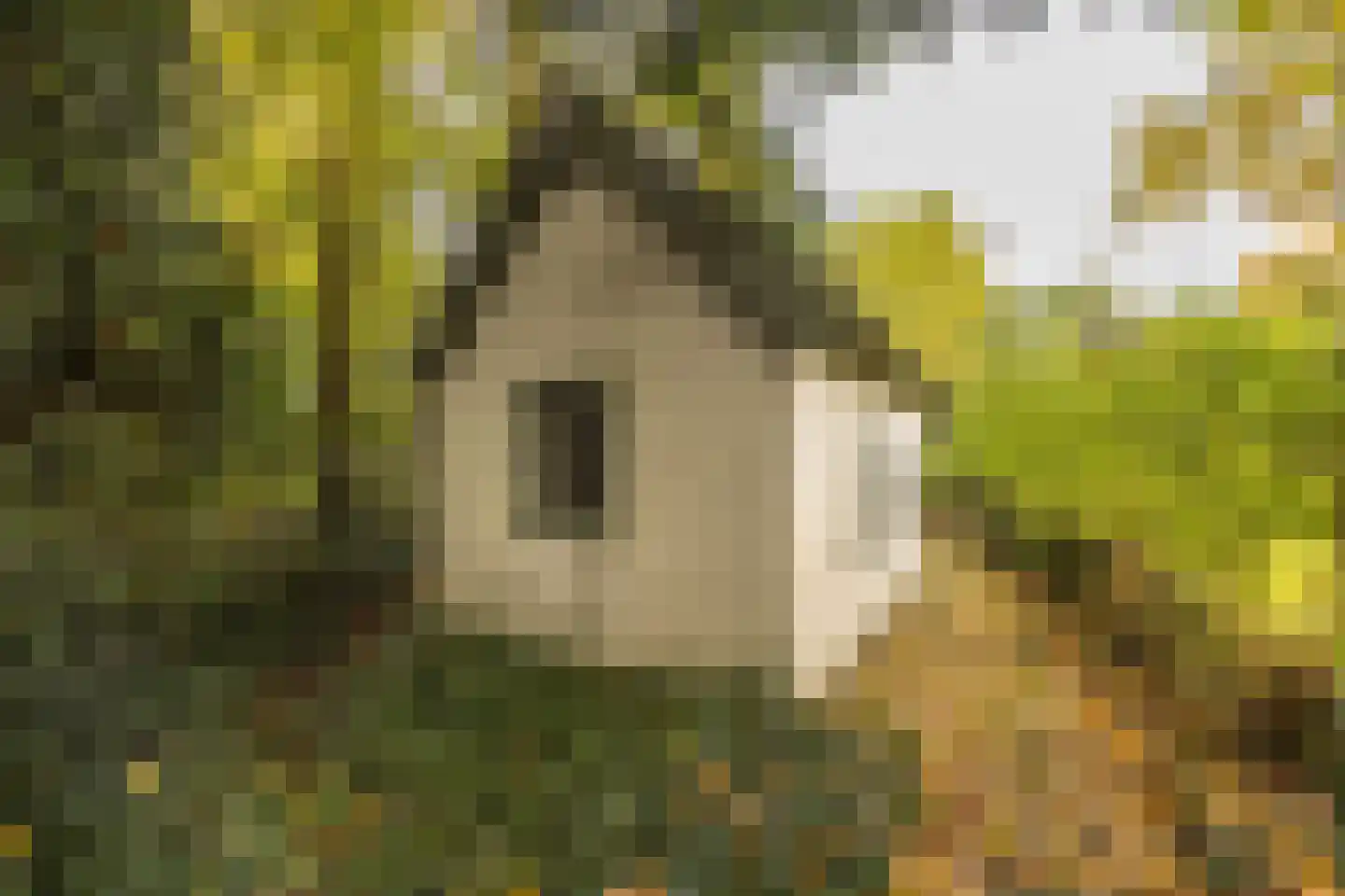 Stationsweg 114 Baarn thumbnail 48