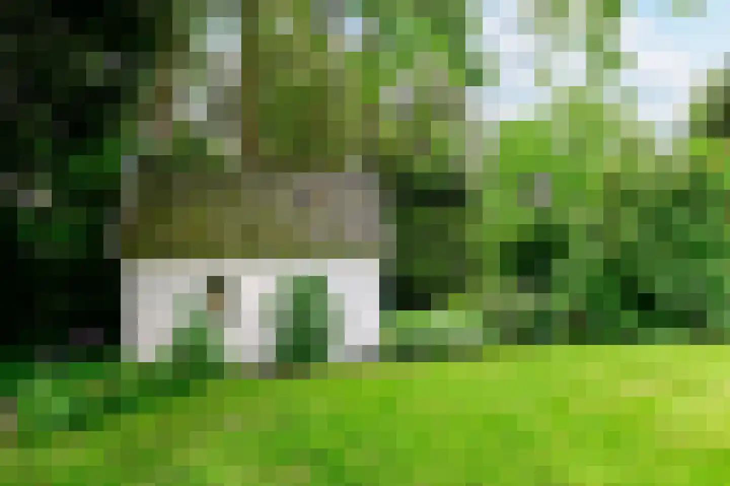 Stationsweg 114 Baarn thumbnail 49