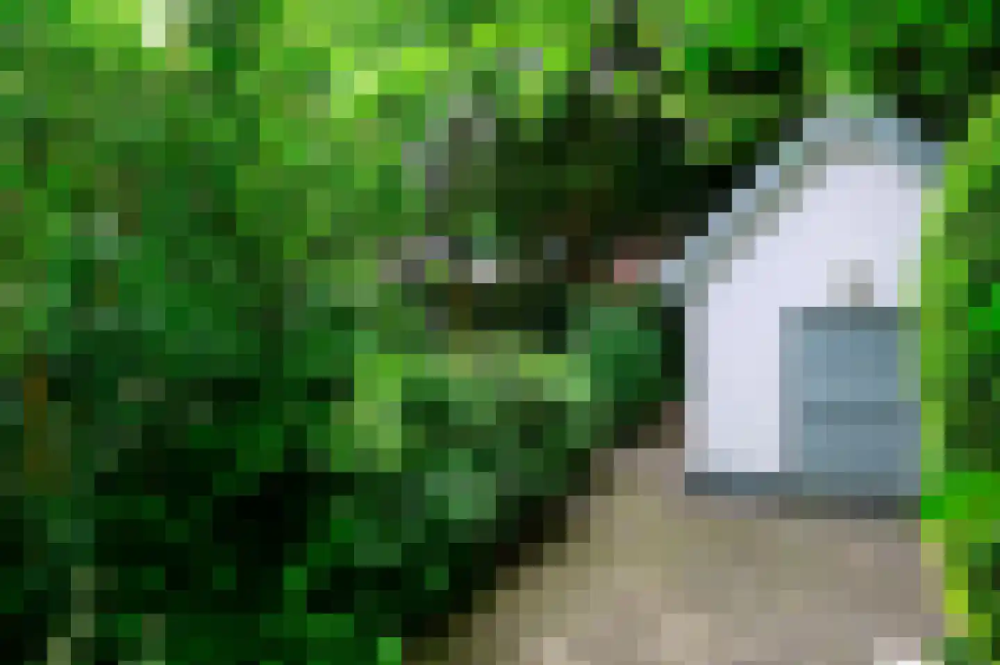 Stationsweg 114 Baarn thumbnail 50