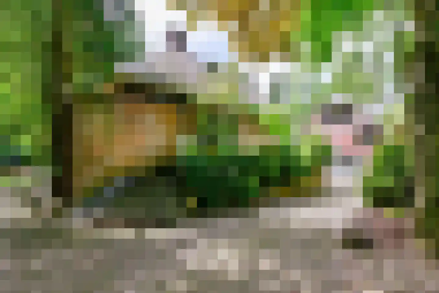 Stationsweg 114 Baarn thumbnail 51