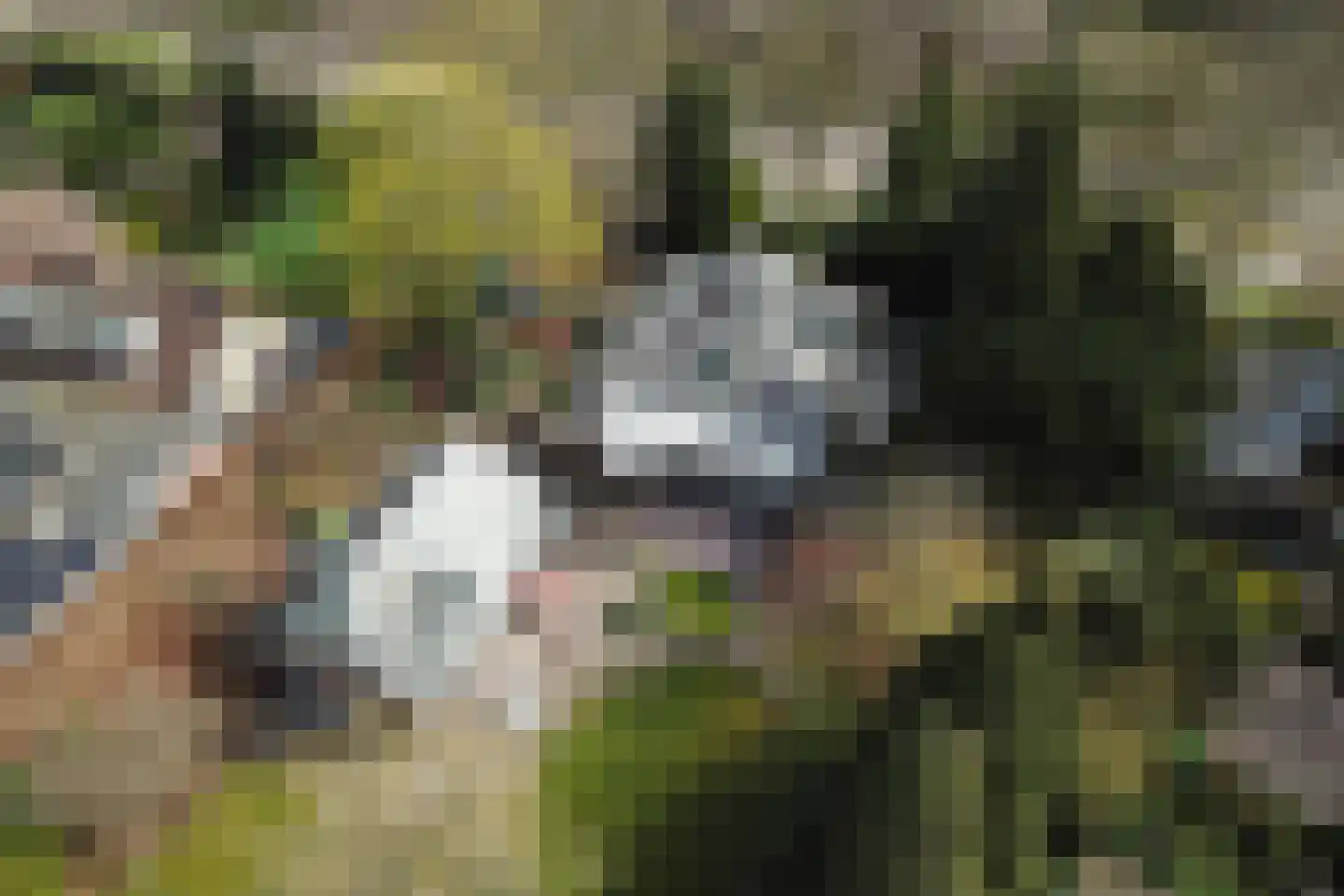 Stationsweg 114 Baarn thumbnail 55