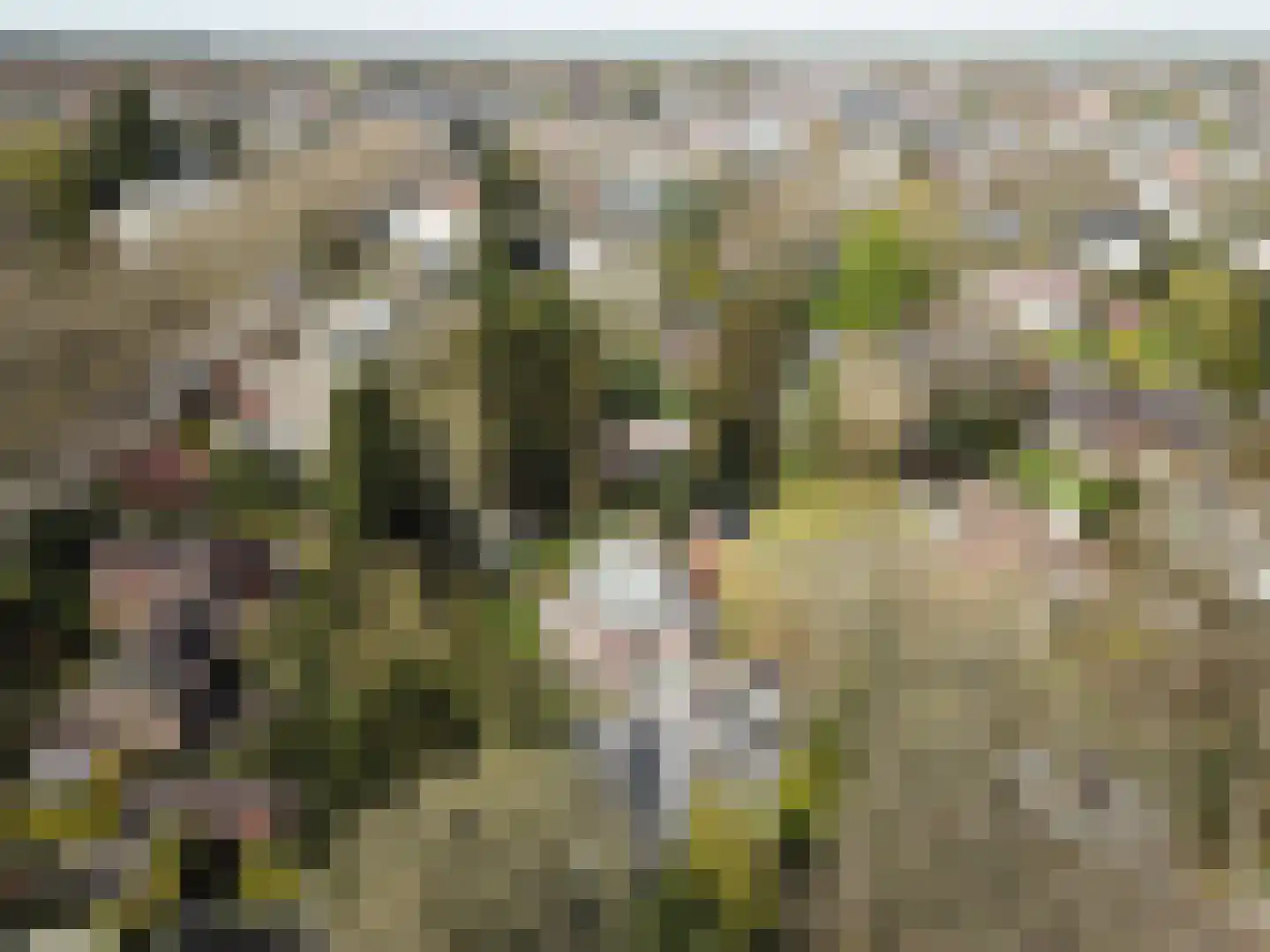 Stationsweg 114 Baarn thumbnail 56