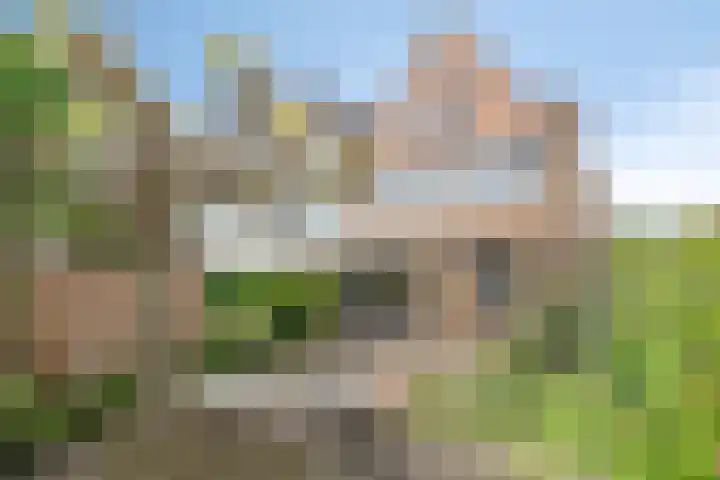 Stationsweg 114 Hoek van Holland thumbnail 5