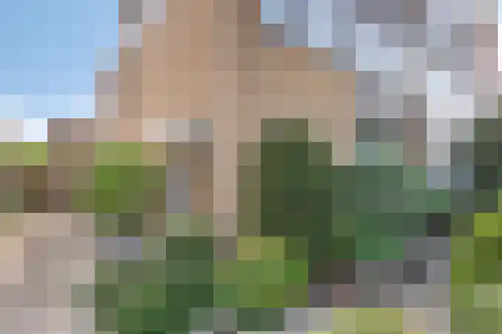 Stationsweg 114 Hoek van Holland thumbnail 6