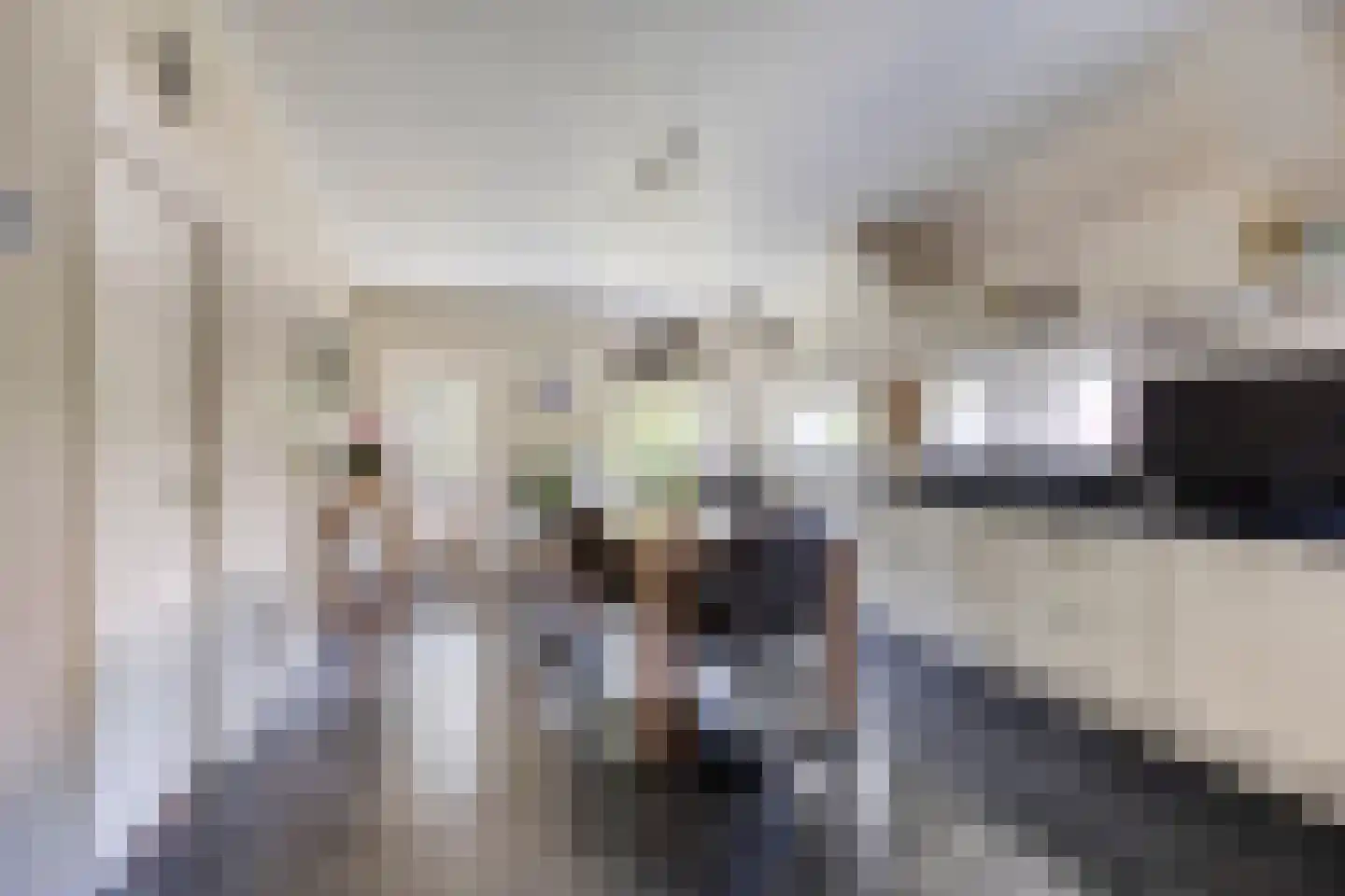 Stationsweg 12 Blije thumbnail 11