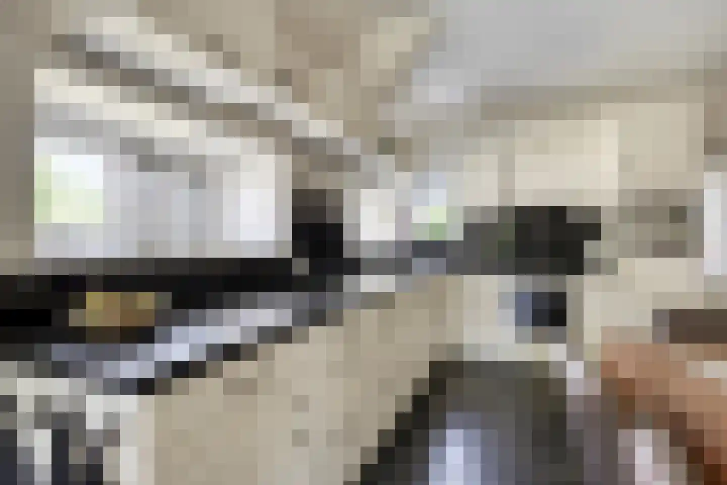 Stationsweg 12 Blije thumbnail 14