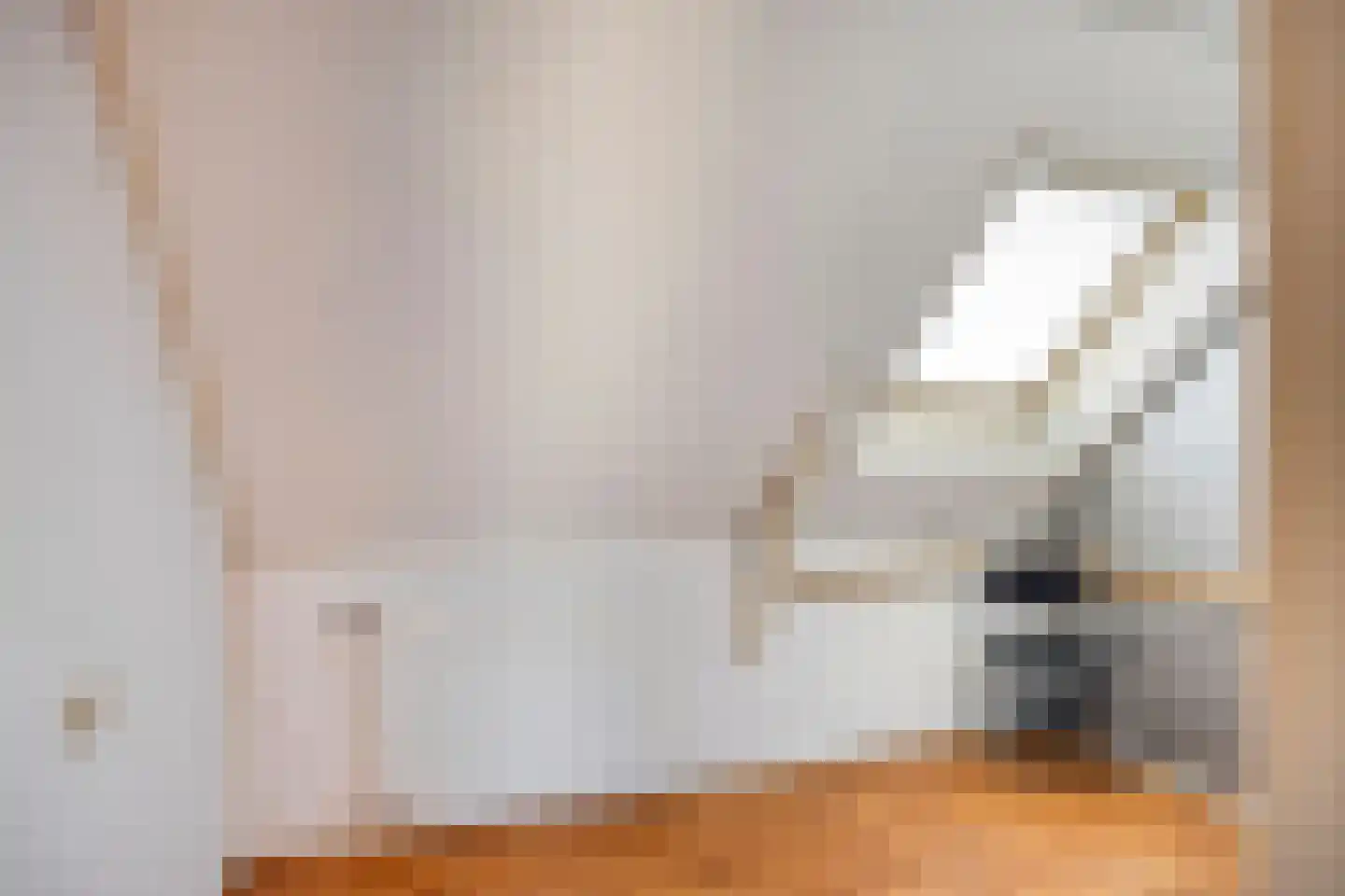 Stationsweg 12 Blije thumbnail 30
