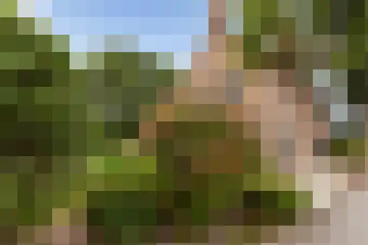 Stationsweg 12 De Klomp thumbnail 27
