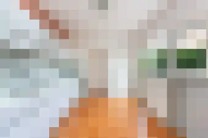 Stationsweg 12 De Klomp thumbnail 6