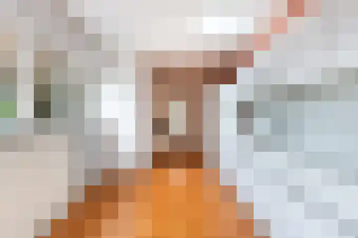Stationsweg 12 De Klomp thumbnail 7