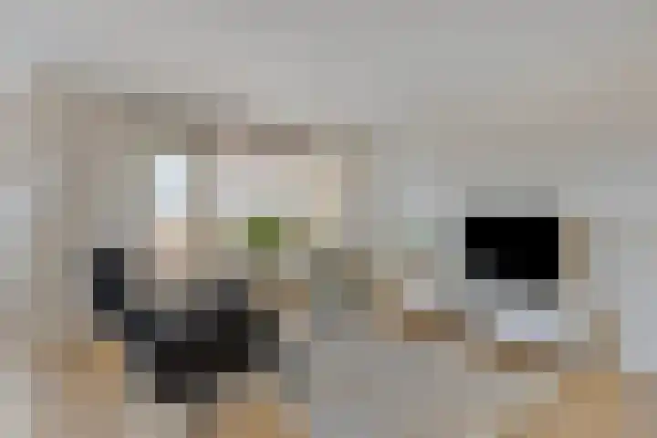 Stationsweg 12 Eindhoven thumbnail 23