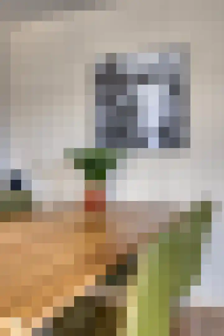 Stationsweg 12 Eindhoven thumbnail 29