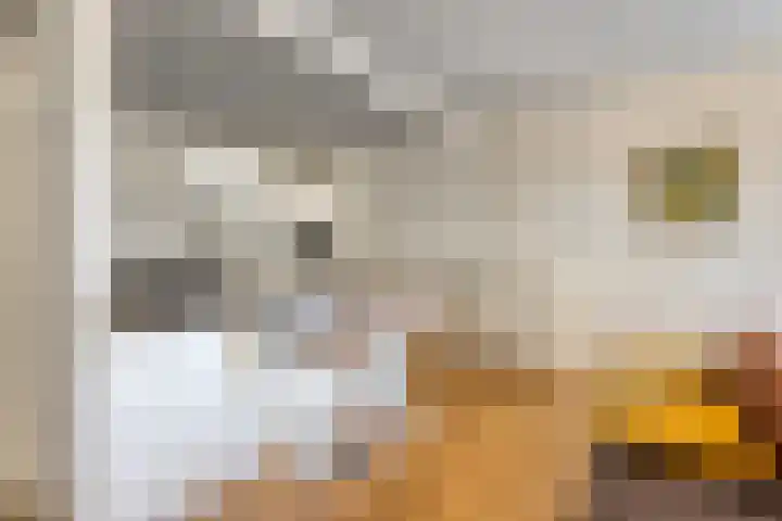 Stationsweg 12 Eindhoven thumbnail 32