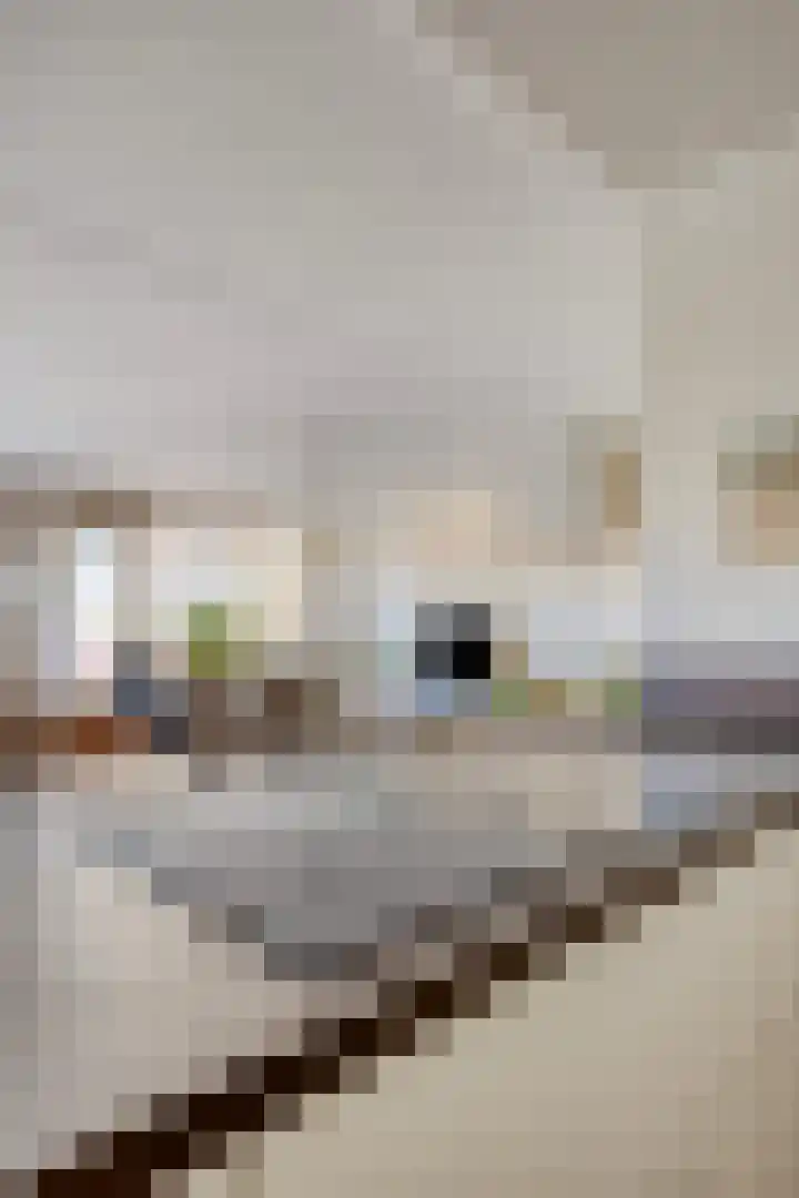 Stationsweg 12 Eindhoven thumbnail 35