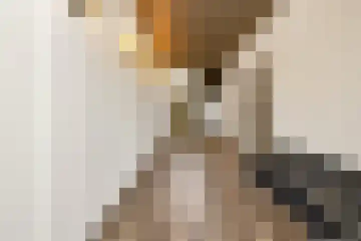 Stationsweg 120 Eindhoven thumbnail 8