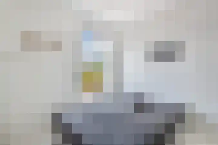 Stationsweg 126 Drachten thumbnail 34