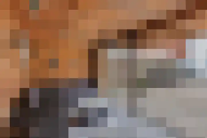 Stationsweg 126 Drachten thumbnail 42