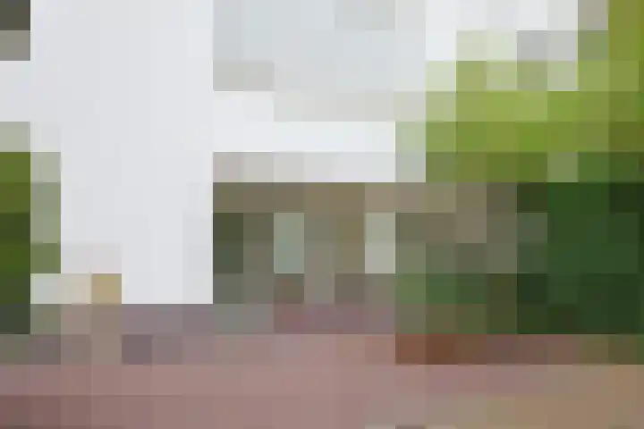 Stationsweg 126 Heiloo thumbnail 10