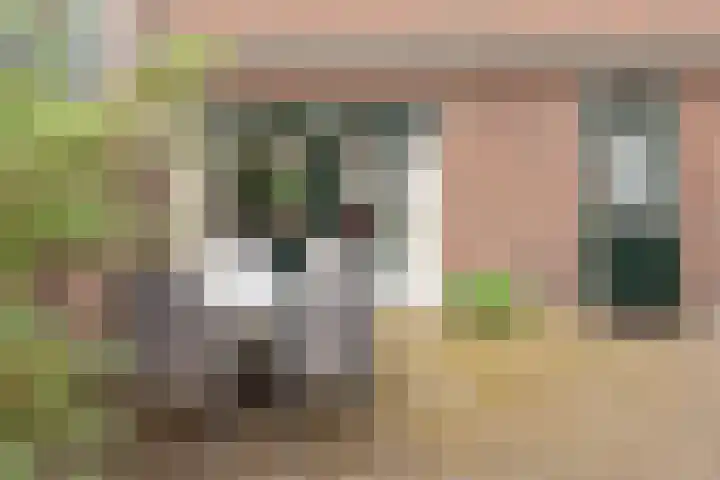 Stationsweg 126 Heiloo thumbnail 31
