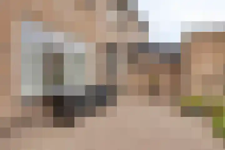 Stationsweg 127 Budel-Dorplein thumbnail 24
