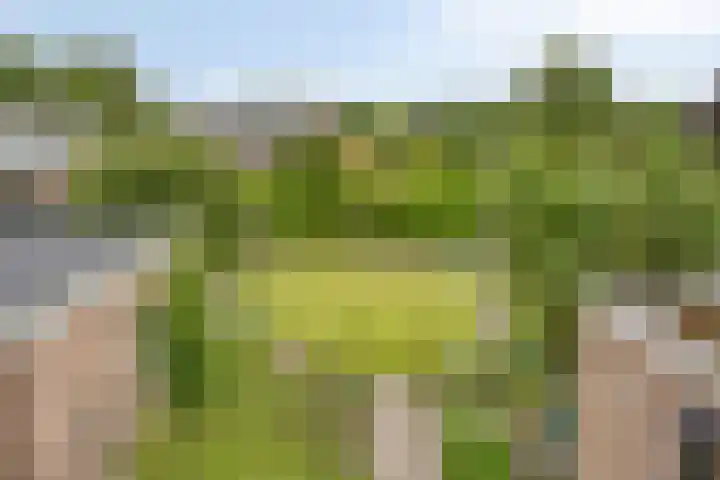 Stationsweg 127 Budel-Dorplein thumbnail 26