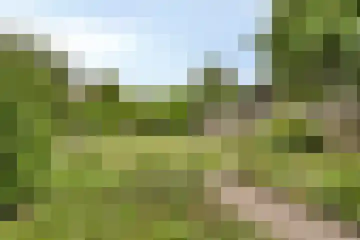 Stationsweg 127 Budel-Dorplein thumbnail 27