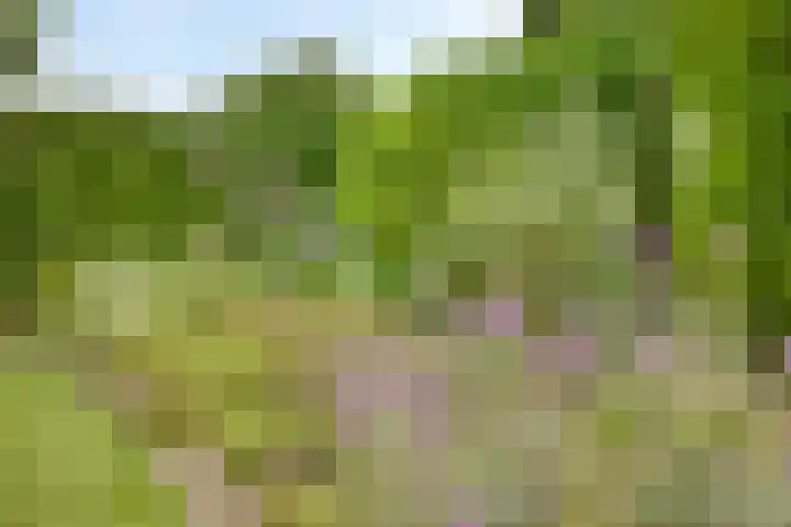 Stationsweg 127 Budel-Dorplein thumbnail 28