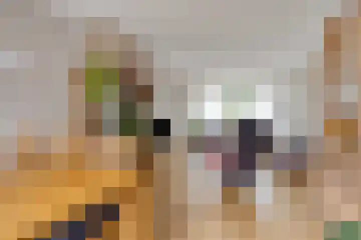 Stationsweg 127 Budel-Dorplein thumbnail 7