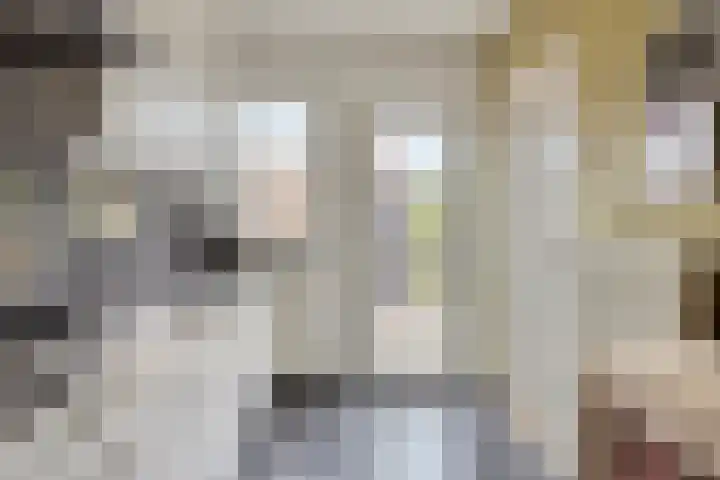 Stationsweg 127 Budel-Dorplein thumbnail 9