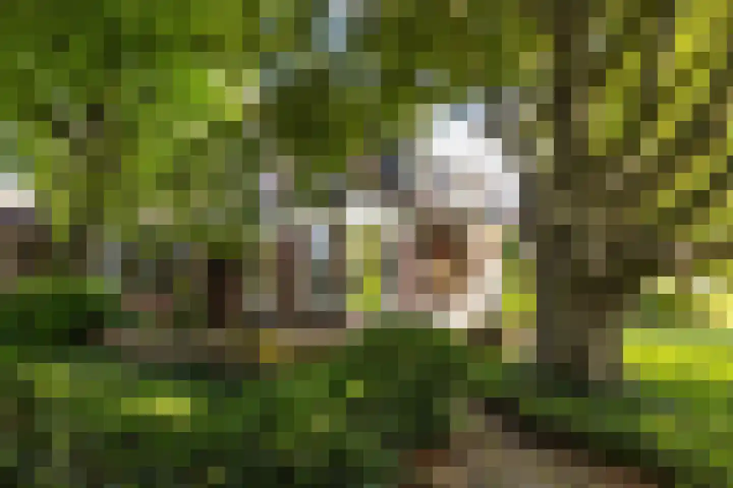 Stationsweg 129 Hillegom thumbnail 46