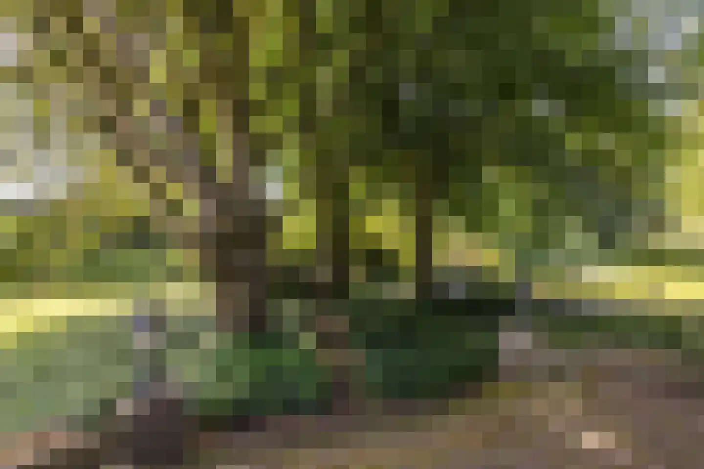 Stationsweg 129 Hillegom thumbnail 47
