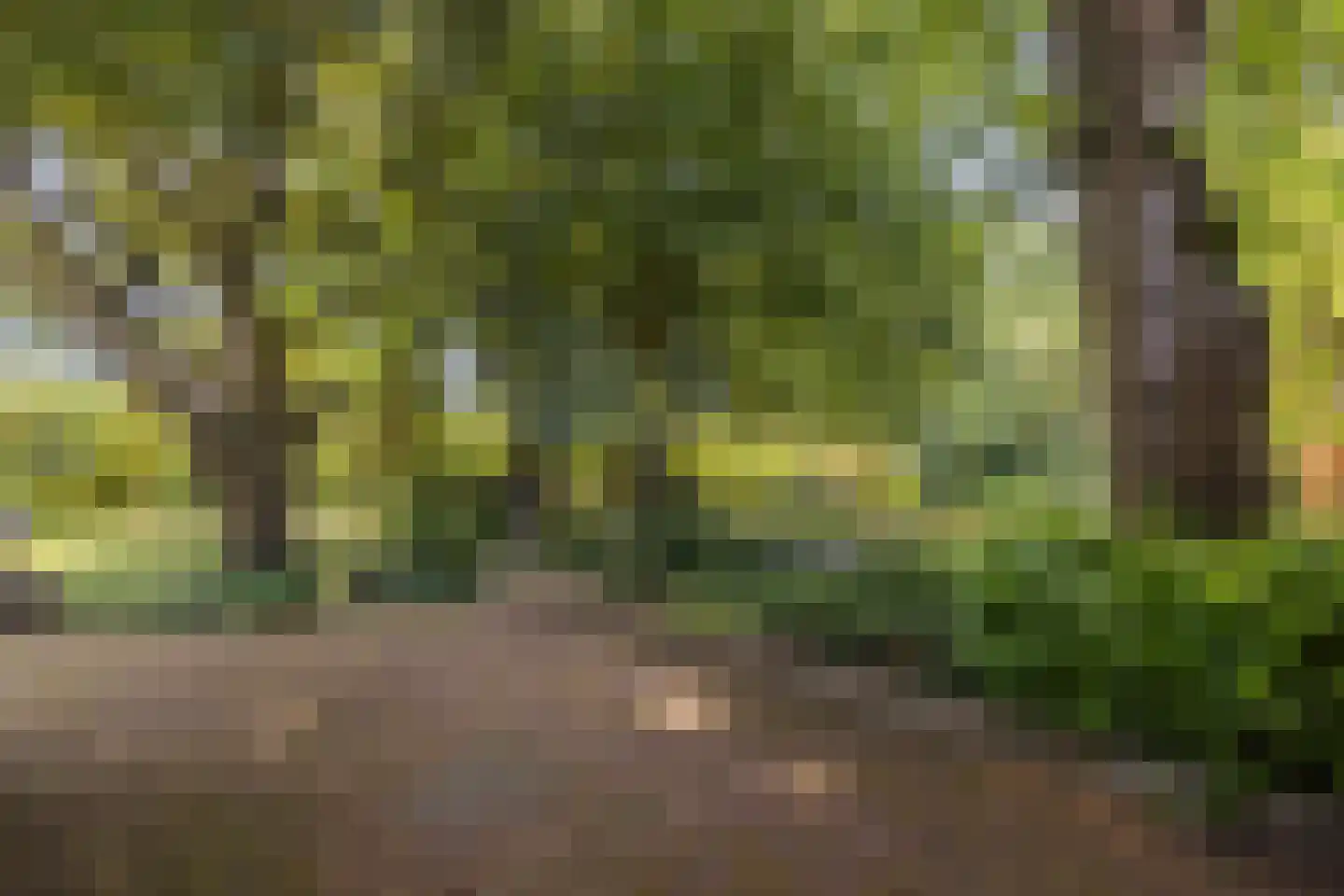 Stationsweg 129 Hillegom thumbnail 48