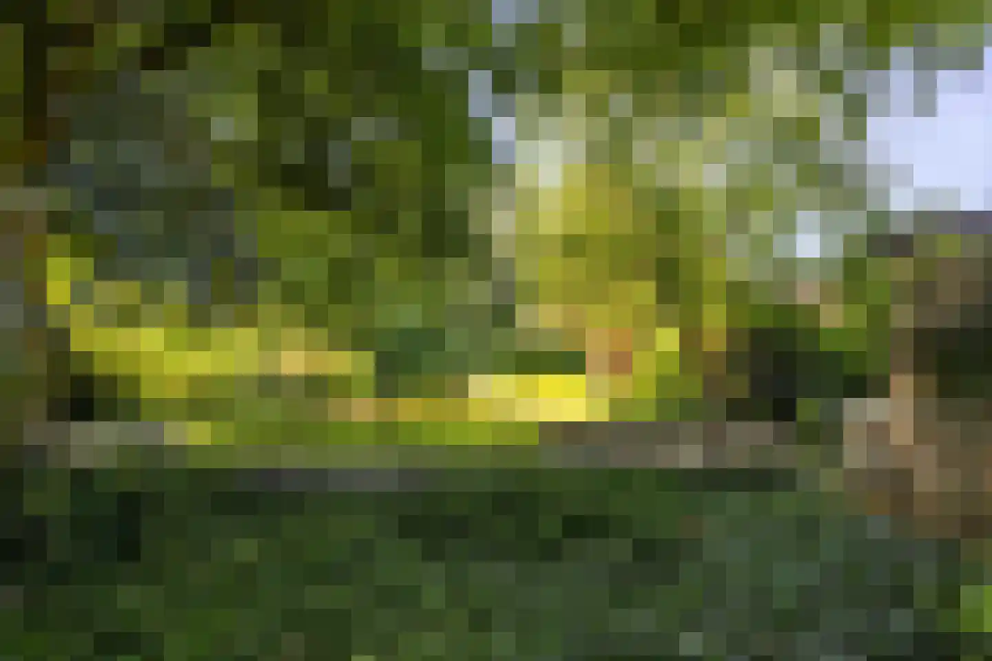 Stationsweg 129 Hillegom thumbnail 49