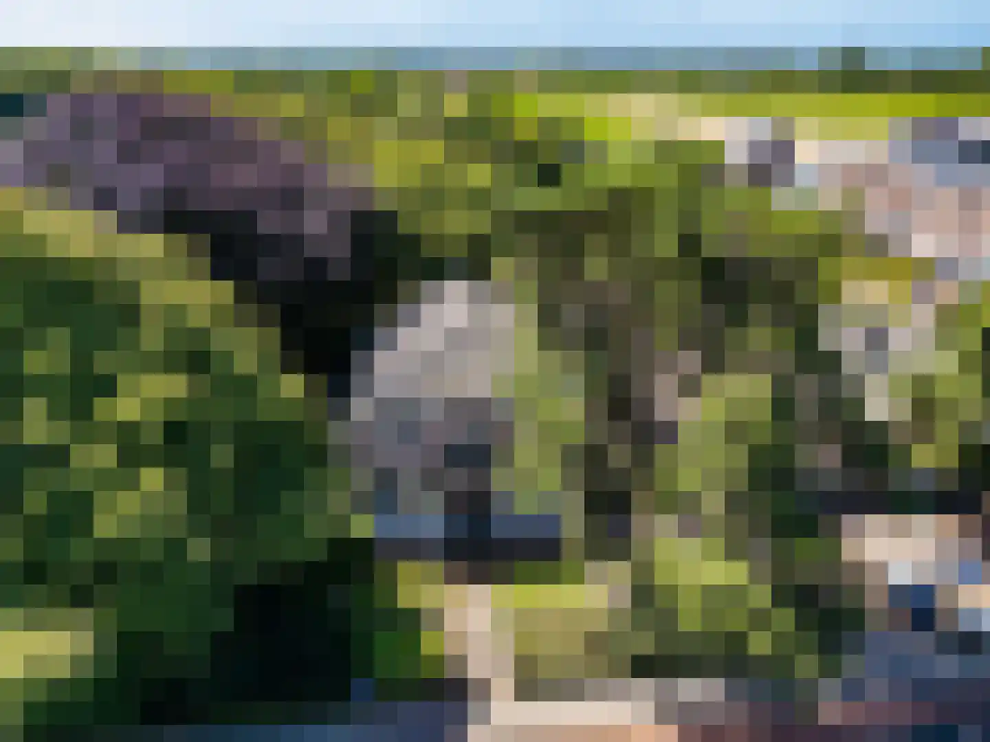 Stationsweg 129 Hillegom thumbnail 5