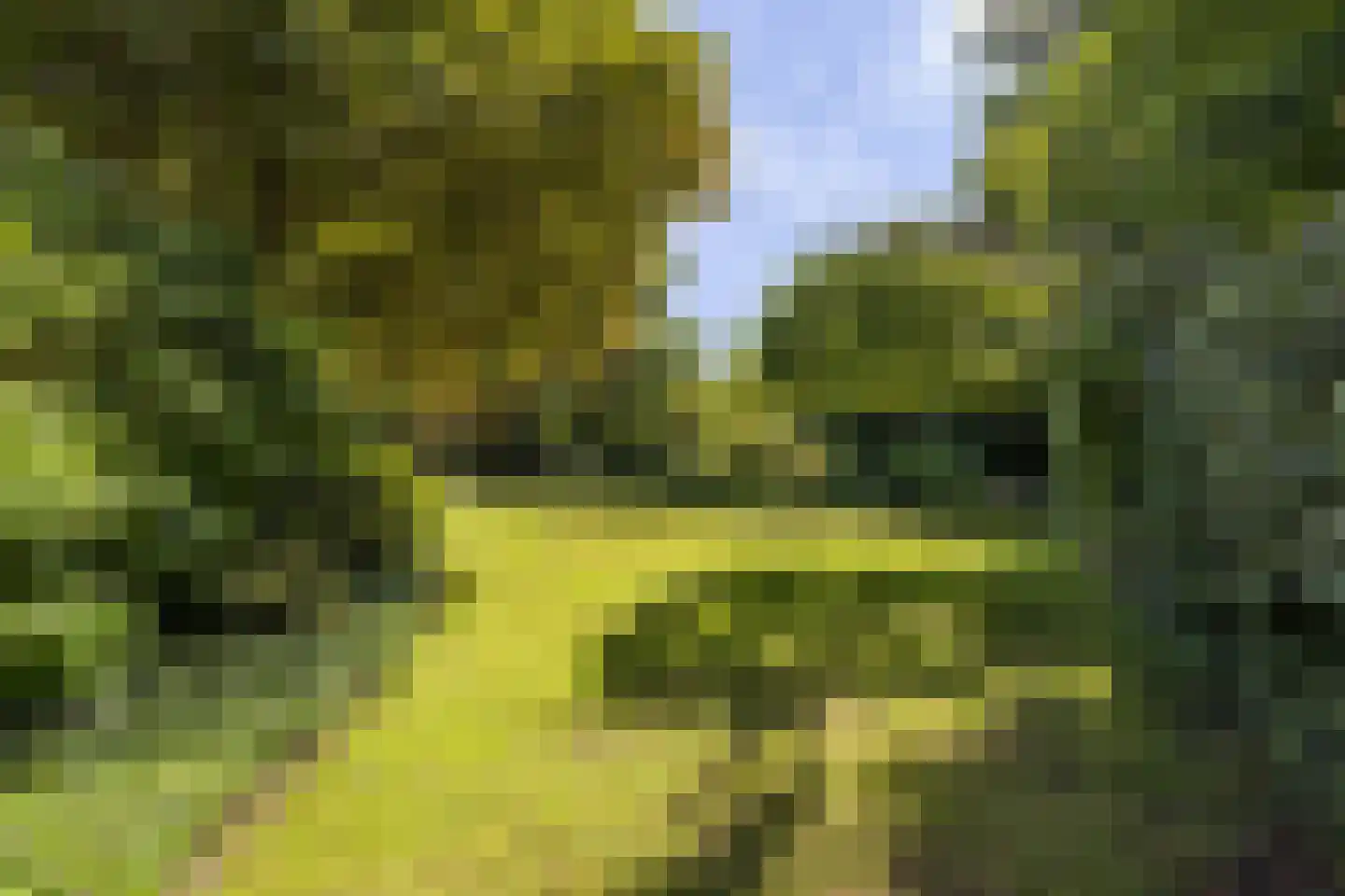 Stationsweg 129 Hillegom thumbnail 51
