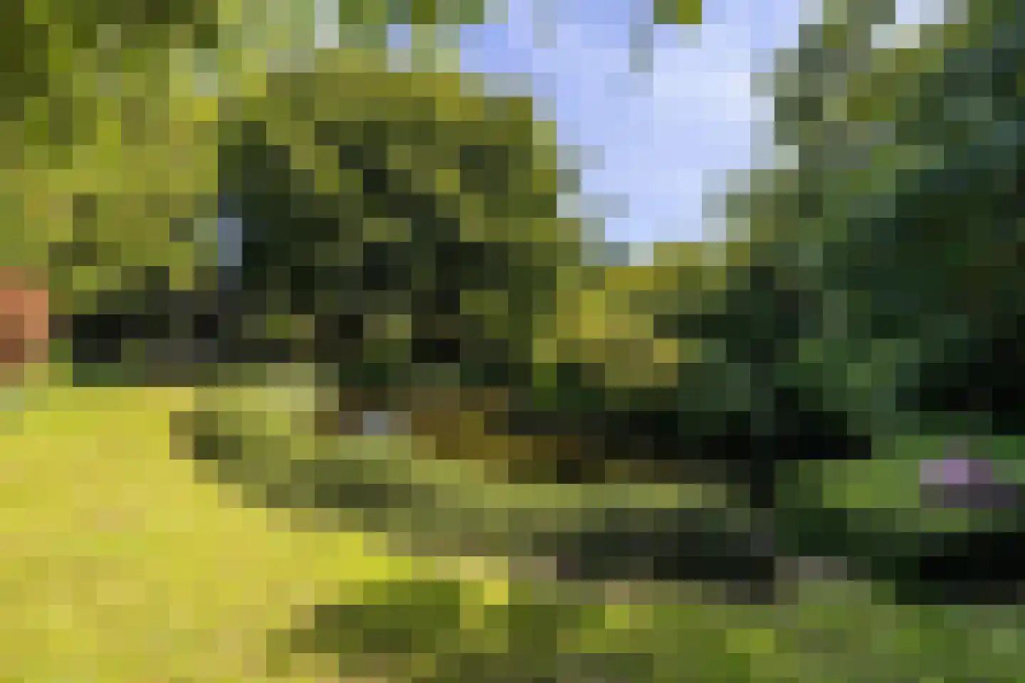 Stationsweg 129 Hillegom thumbnail 52