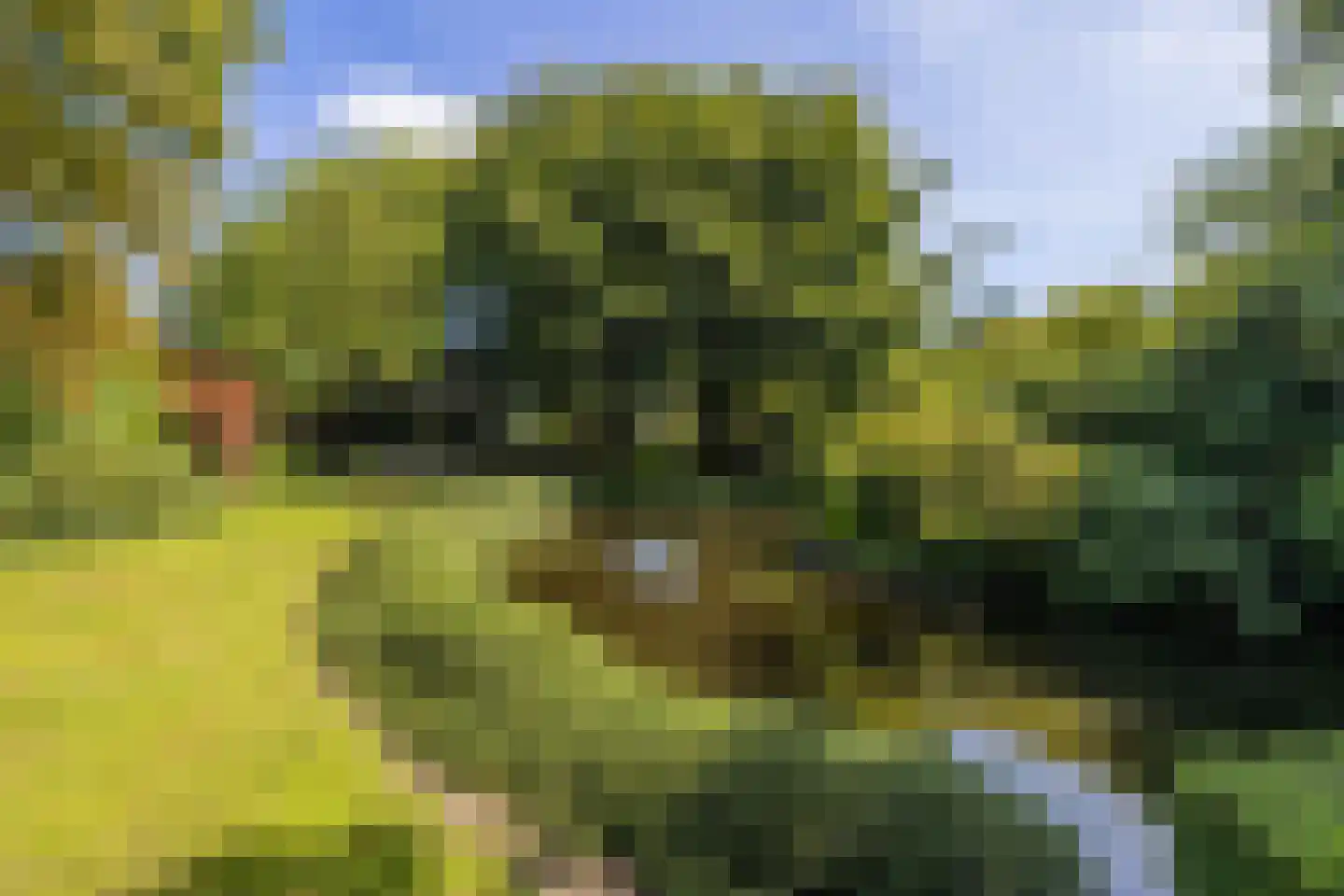 Stationsweg 129 Hillegom thumbnail 53