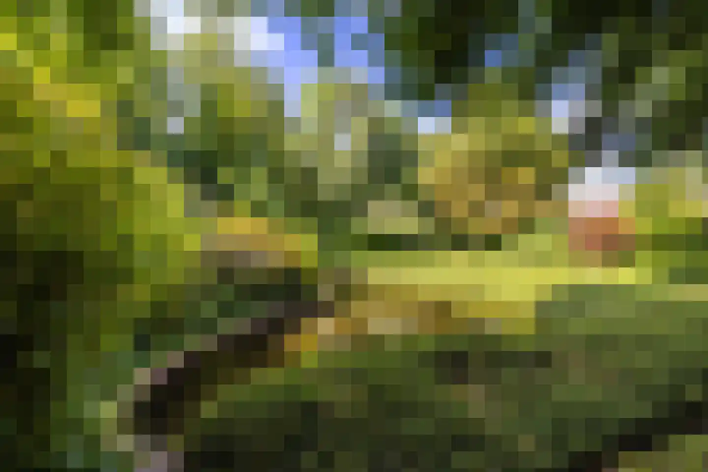 Stationsweg 129 Hillegom thumbnail 54