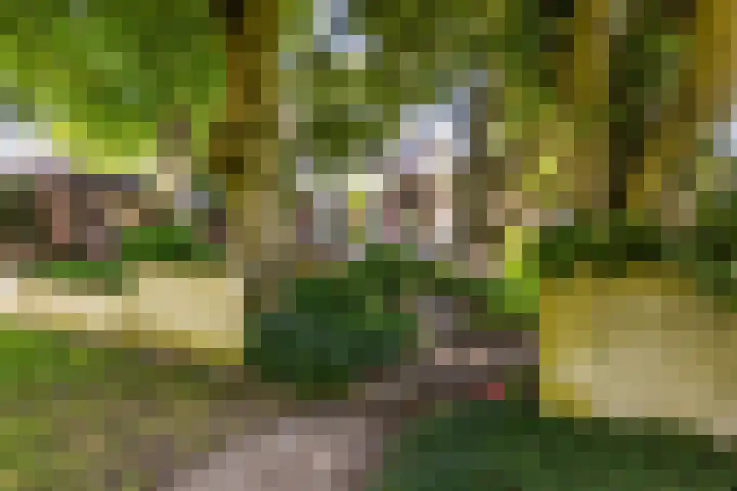 Stationsweg 129 Hillegom thumbnail 57
